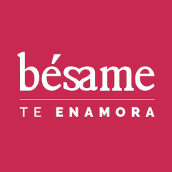 Bésame logo